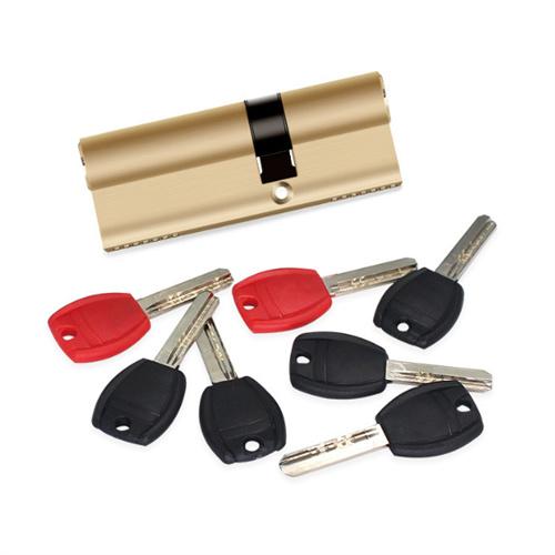 Customized Plastic handle keys For Lock