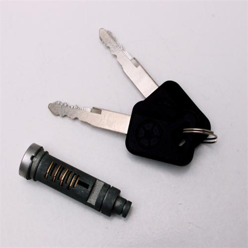 Customized Plastic handle keys For Lock